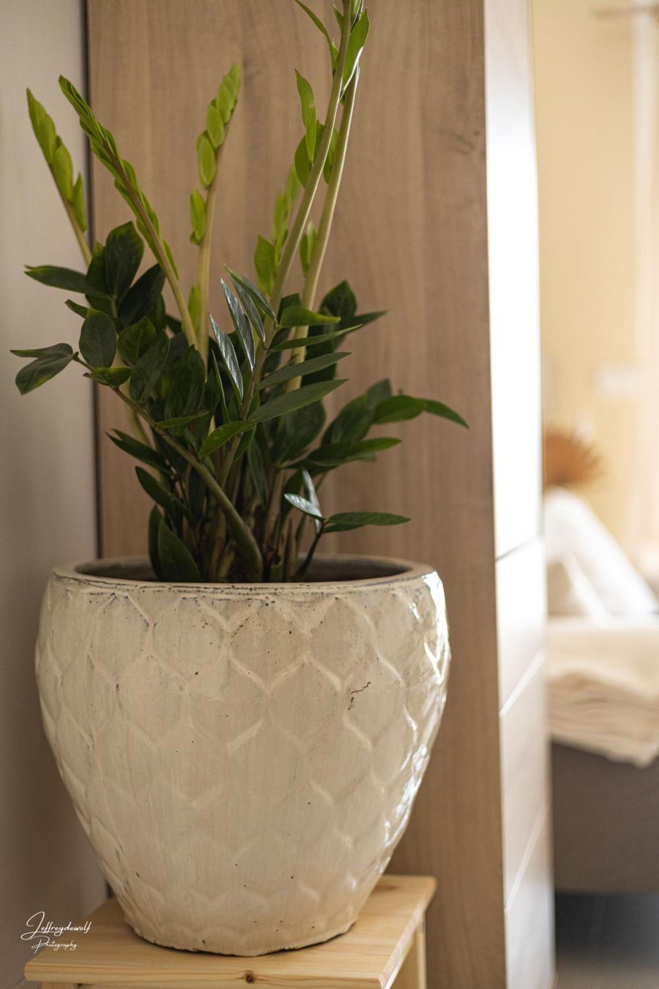 Dushi Townhouse Curacao Apartment Willemstad Ngoại thất bức ảnh